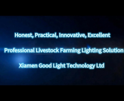 Xiamen Good Light Technology Ltd. Company And Products Introduction