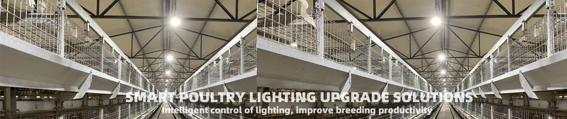 LED Smart Poultry Lighting Products Manufacturer