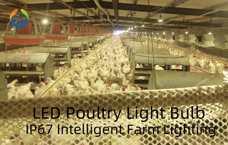 Is the IP level of your farm lighting products sufficient?