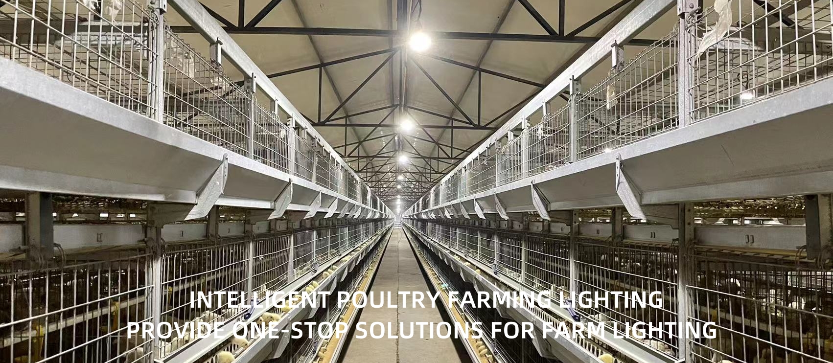 LED Smart Poultry Lighting Products Manufacturer